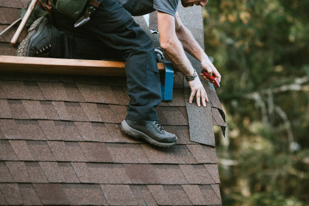 Best Roof Gutter Cleaning  in Lake Wazeecha, WI